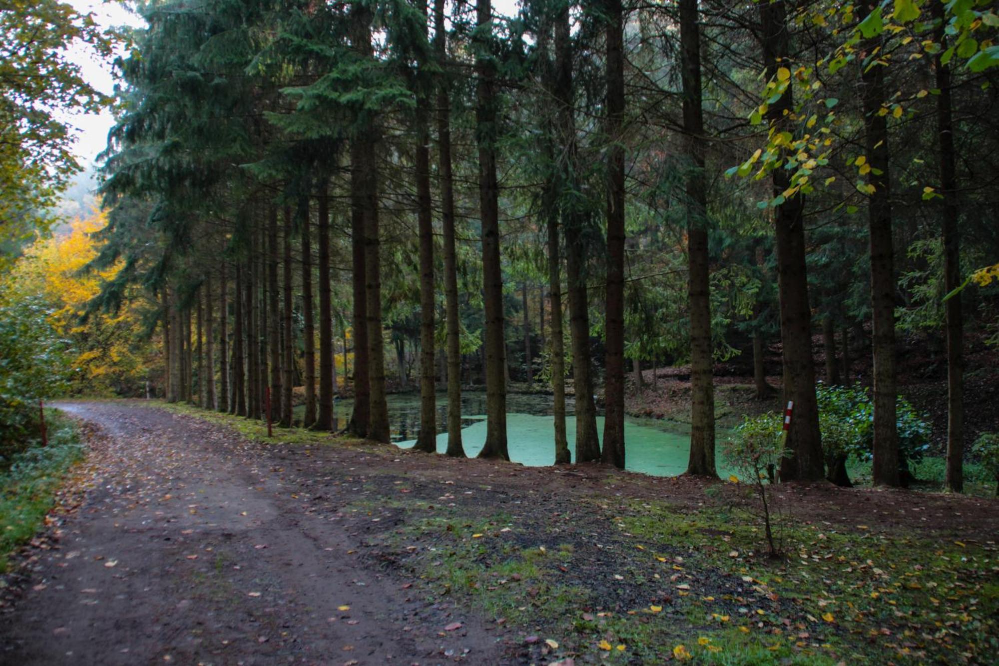 Fh "Baeren Ecke" Am See Im Hessischen Bergland Kirchheim  Buitenkant foto