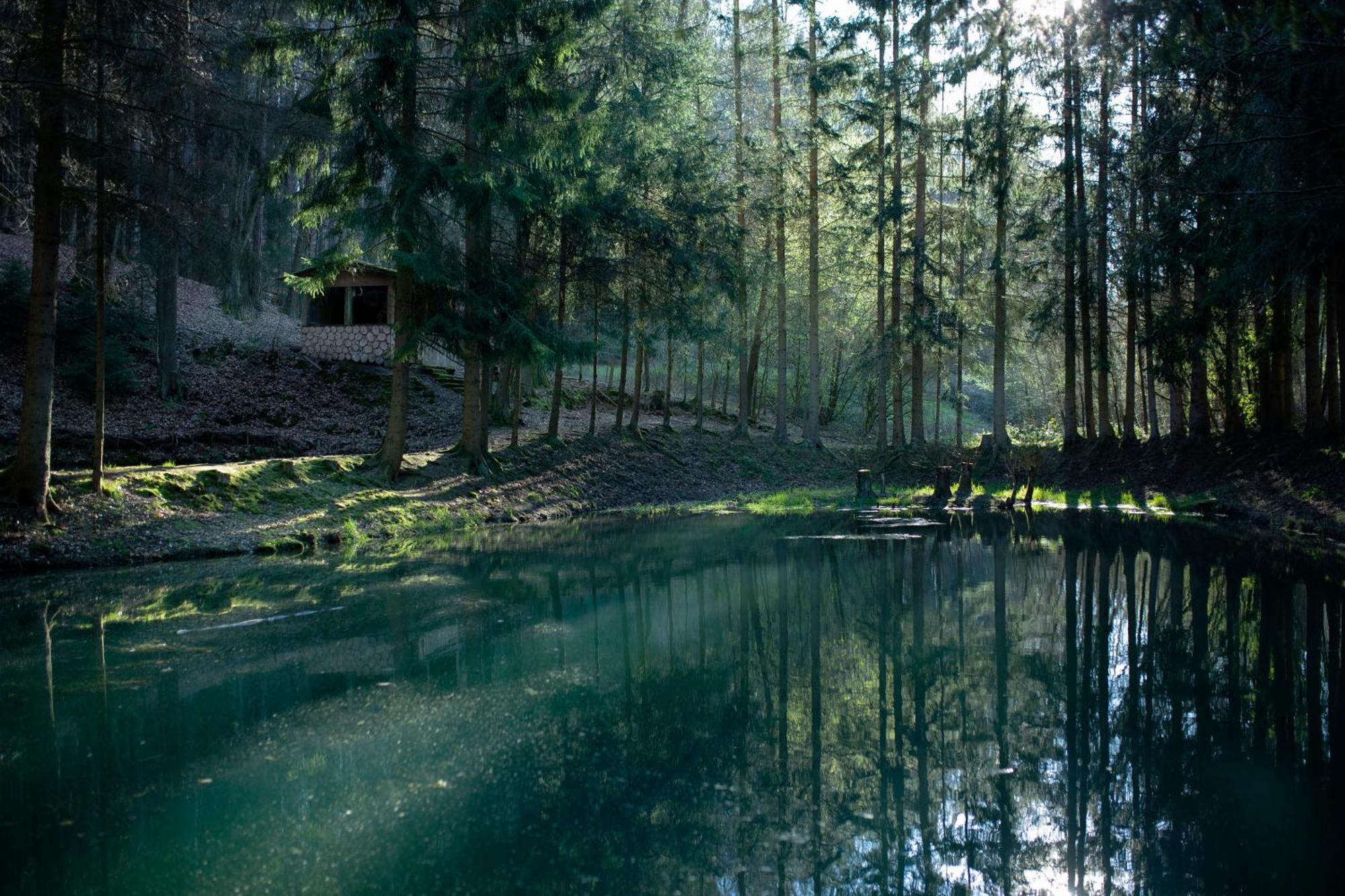 Fh "Baeren Ecke" Am See Im Hessischen Bergland Kirchheim  Buitenkant foto